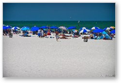License: Clearwater Beach