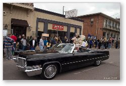 License: Krewe of Iris King in an old caddy
