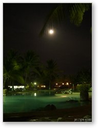 License: Moon light over the pool