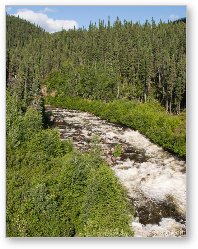 License: Fast running stream in Canadian wilderness