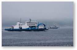License: Tadoussac Ferry