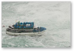 License: Maid of the Mist