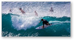 License: Surfer taking a wave near Honolua