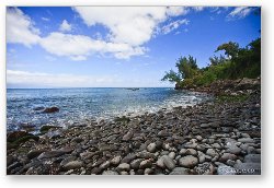 License: Rocky shoreline near DT Fleming beach