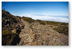 License: Hiking trail on Haleakala Volcano