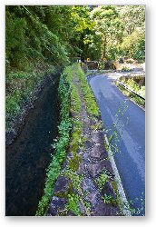 License: Maui water supply ditch next o Hana Highway