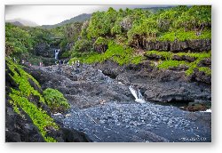 License: Oheo Pools (Seven Sacred Pools) near Hana, Maui