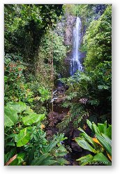 License: 100 Foot Wailua Waterfall