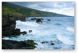 License: Rugged Maui coastline
