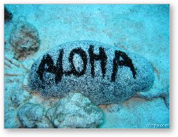 License: Aloha - scuba diving Maui