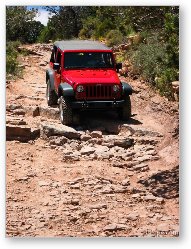 License: Jeep Rubicon taking some rock steps