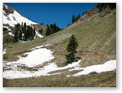 License: Hiking the bikes up to Burro Pass