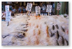 License: Pike Place Fish Market