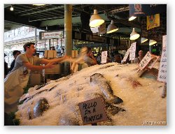 License: Fish throwing at Pike Place Fish Market