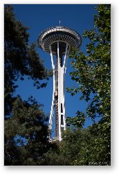 License: Seattle Space Needle