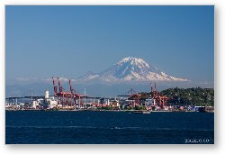 License: Port of Seattle with Mount Rainier