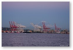 License: Port of Seattle with Mount Rainier at dusk