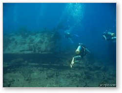 License: Divers around the wreck