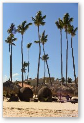 License: Wicker ball shaped loungers and palm trees at the beach