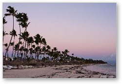 License: Punta Cana beach at sunrise
