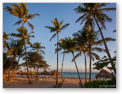 License: Punta Cana Cabanas and Palms