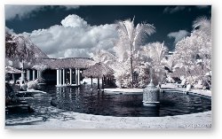 License: Melia Caribe Tropical VIP pool
