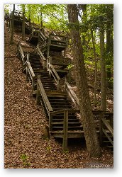 License: Staircase over dunes in PJ Hoffmaster State Park