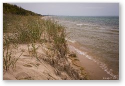 License: Beach at PJ Hoffmaster State Park