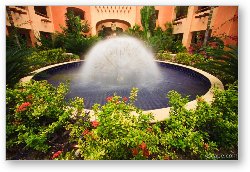 License: Fountain in the courtyard