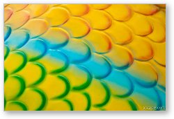 License: Colorful fish scales