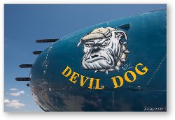 License: North American B-25 Mitchell - CAF Devil Dog