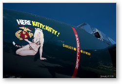 License: 1945 Grumman F7F Tigercat - Here Kitty Kitty N700F