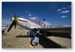 License: North American P-51D Mustang - Gunfighter N5428V