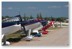 License: Airplanes lined up at EAA