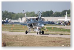 License: F/A-18 Super Hornet in 100th Anniversary paint scheme