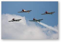 License: Red Star Aerobatic Team in Russian Yak-52 aircraft