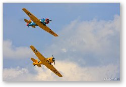 License: North American T-6 Texans in formation