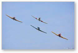 License: North American T-6 Texans in formation