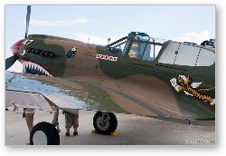 License: 1942 Curtiss P-40E Warhawk NX40PE