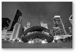 License: Cloud Gate and Skyline