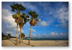 License: Sombrero Beach, Marathon Key