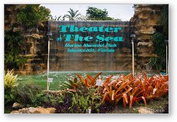 License: Theater of the Sea, Islamorada