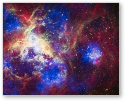 License: Tarantula Nebula