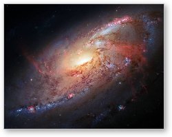 License: Hubble view of M 106