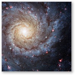 License: Spiral Galaxy M74