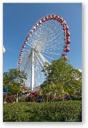 License: Navy Pier Ferris Wheel