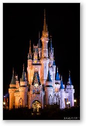 License: Cinderella's Castle and Partners statue at night