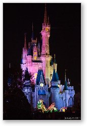 License: Cinderella Castle during Main Street Light Parade