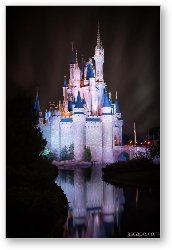 License: Cinderella's Castle Reflection