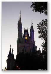 License: Cinderella's Castle at dusk